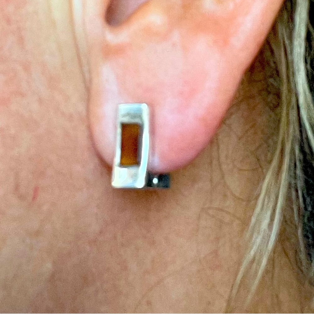 Silver and tiger’s eye small earrings